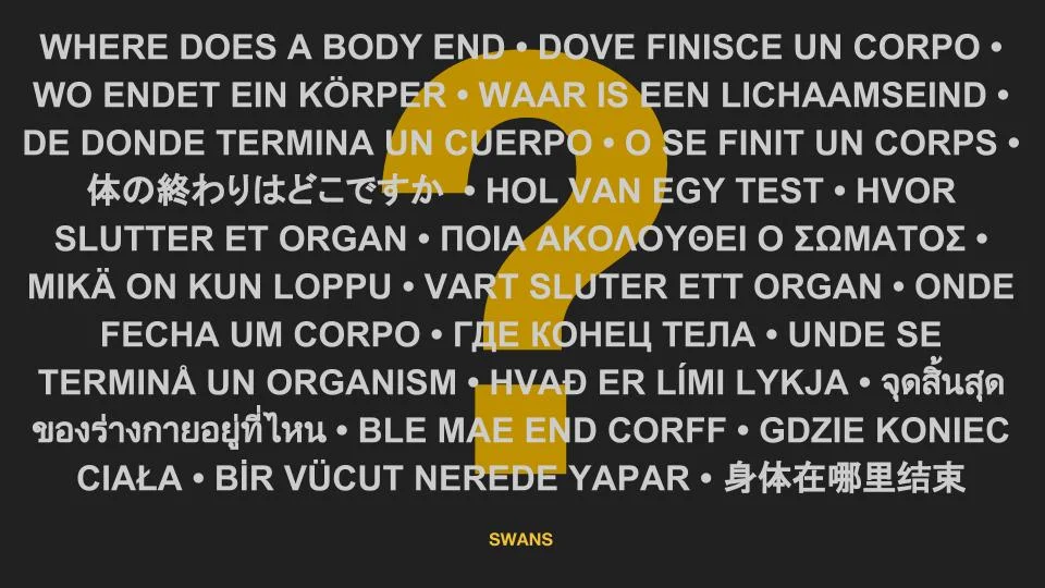 IMAGES — SWANS